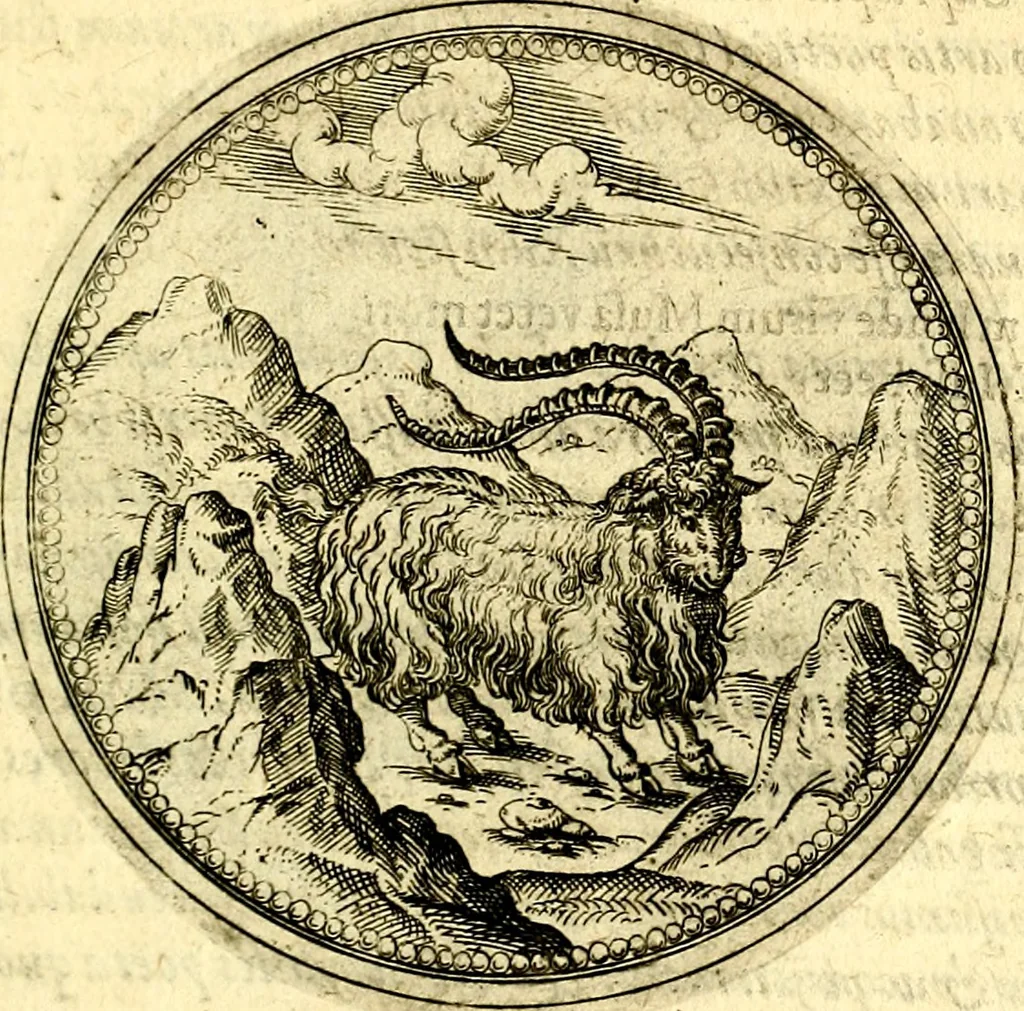 An illustration from Joachimi Camerarii Symbolorvm et emblematvm centvriæ tres. I. Ex herbis & stirpibus. II. Ex animalibus quadrupedibus. III. Ex volatilibus & insectis. Accessit noviter centvria IV. Ex aquatilibus & reptilibus. Cvm figvris æneis, 1605, leaf 340