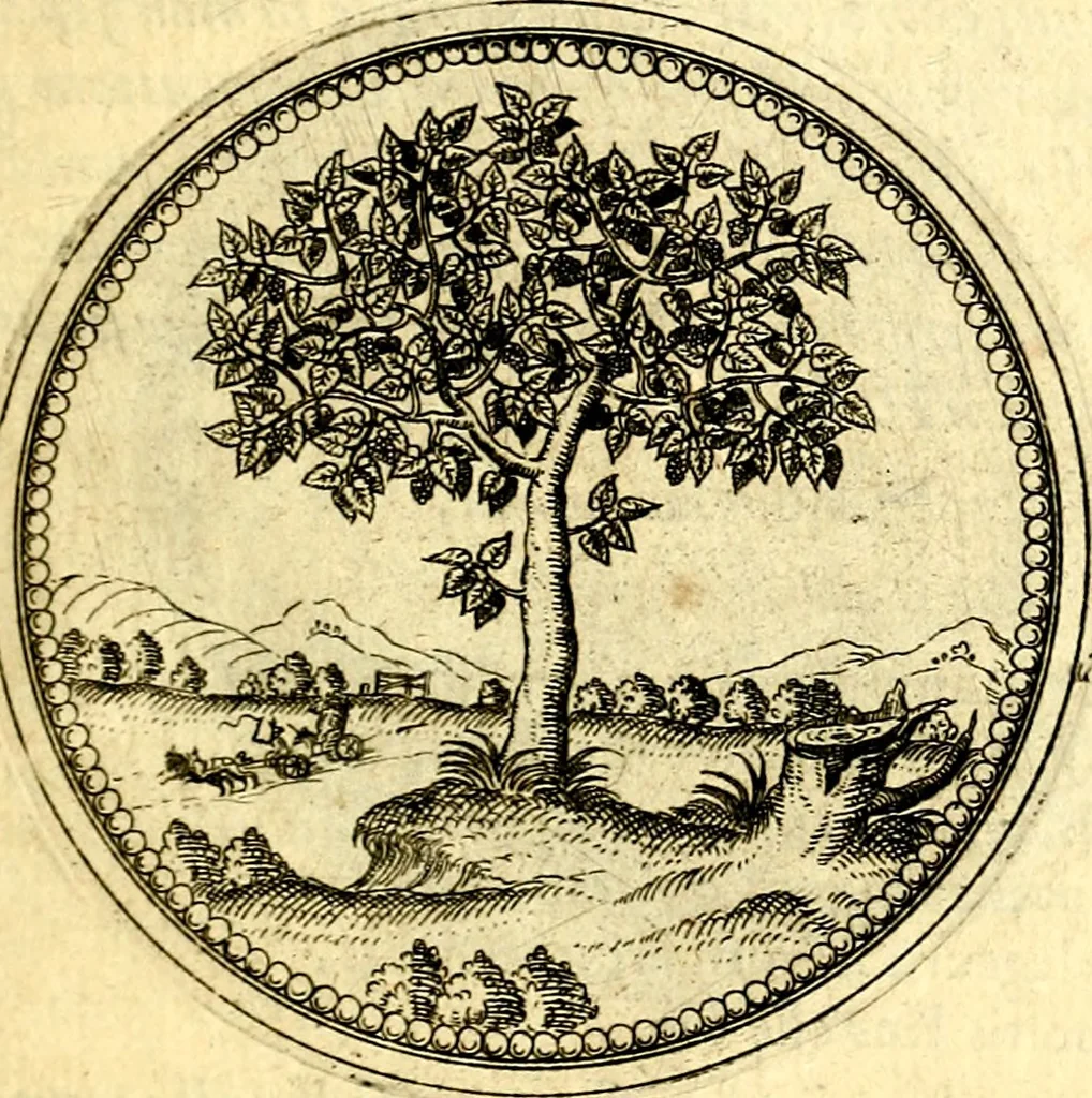 An illustration from Joachimi Camerarii Symbolorvm et emblematvm centvriæ tres. I. Ex herbis & stirpibus. II. Ex animalibus quadrupedibus. III. Ex volatilibus & insectis. Accessit noviter centvria IV. Ex aquatilibus & reptilibus. Cvm figvris æneis, 1605, leaf 36