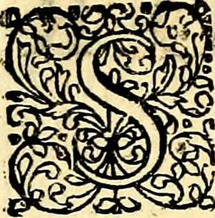 An illustration from Joachimi Camerarii Symbolorvm et emblematvm centvriæ tres. I. Ex herbis & stirpibus. II. Ex animalibus quadrupedibus. III. Ex volatilibus & insectis. Accessit noviter centvria IV. Ex aquatilibus & reptilibus. Cvm figvris æneis, 1605, leaf 381