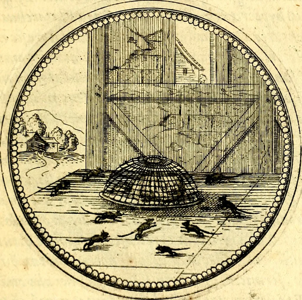 An illustration from Joachimi Camerarii Symbolorvm et emblematvm centvriæ tres. I. Ex herbis & stirpibus. II. Ex animalibus quadrupedibus. III. Ex volatilibus & insectis. Accessit noviter centvria IV. Ex aquatilibus & reptilibus. Cvm figvris æneis, 1605, leaf 386