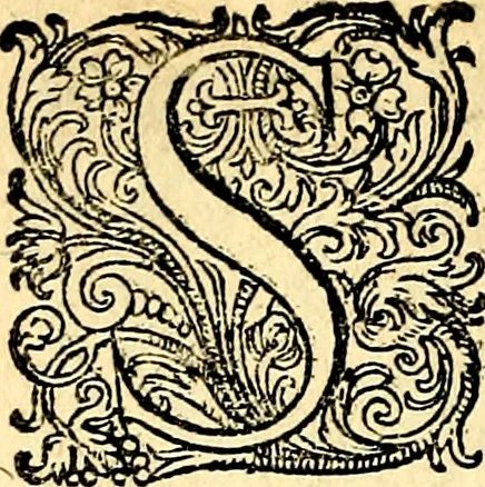 An illustration from Joachimi Camerarii Symbolorvm et emblematvm centvriæ tres. I. Ex herbis & stirpibus. II. Ex animalibus quadrupedibus. III. Ex volatilibus & insectis. Accessit noviter centvria IV. Ex aquatilibus & reptilibus. Cvm figvris æneis, 1605, leaf 39