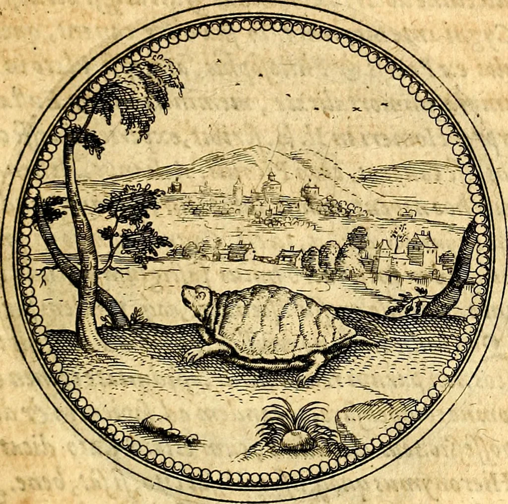 An illustration from Joachimi Camerarii Symbolorvm et emblematvm centvriæ tres. I. Ex herbis & stirpibus. II. Ex animalibus quadrupedibus. III. Ex volatilibus & insectis. Accessit noviter centvria IV. Ex aquatilibus & reptilibus. Cvm figvris æneis, 1605, leaf 390
