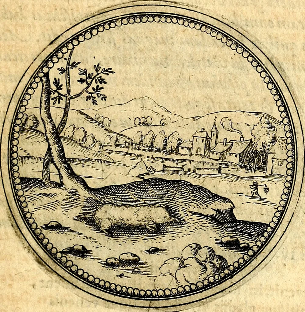 An illustration from Joachimi Camerarii Symbolorvm et emblematvm centvriæ tres. I. Ex herbis & stirpibus. II. Ex animalibus quadrupedibus. III. Ex volatilibus & insectis. Accessit noviter centvria IV. Ex aquatilibus & reptilibus. Cvm figvris æneis, 1605, leaf 396