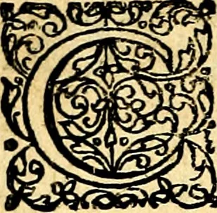 An illustration from Joachimi Camerarii Symbolorvm et emblematvm centvriæ tres. I. Ex herbis & stirpibus. II. Ex animalibus quadrupedibus. III. Ex volatilibus & insectis. Accessit noviter centvria IV. Ex aquatilibus & reptilibus. Cvm figvris æneis, 1605, leaf 399