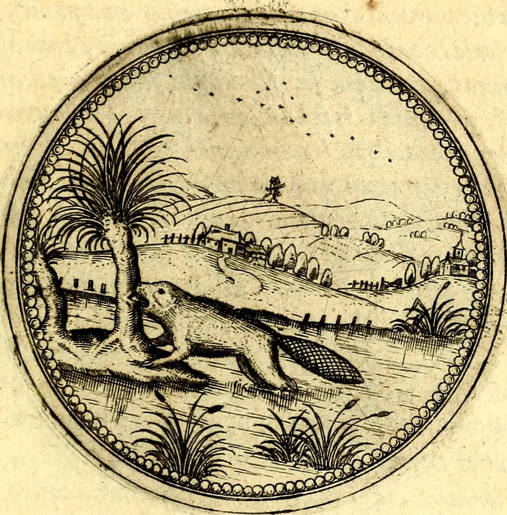 An illustration from Joachimi Camerarii Symbolorvm et emblematvm centvriæ tres. I. Ex herbis & stirpibus. II. Ex animalibus quadrupedibus. III. Ex volatilibus & insectis. Accessit noviter centvria IV. Ex aquatilibus & reptilibus. Cvm figvris æneis, 1605, leaf 400