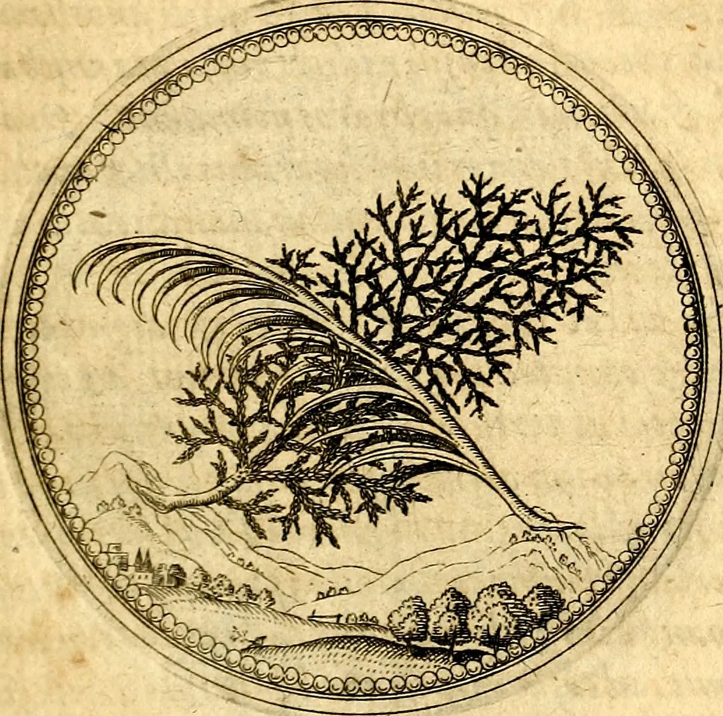 An illustration from Joachimi Camerarii Symbolorvm et emblematvm centvriæ tres. I. Ex herbis & stirpibus. II. Ex animalibus quadrupedibus. III. Ex volatilibus & insectis. Accessit noviter centvria IV. Ex aquatilibus & reptilibus. Cvm figvris æneis, 1605, leaf 52