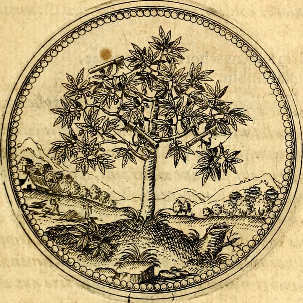 An illustration from Joachimi Camerarii Symbolorvm et emblematvm centvriæ tres. I. Ex herbis & stirpibus. II. Ex animalibus quadrupedibus. III. Ex volatilibus & insectis. Accessit noviter centvria IV. Ex aquatilibus & reptilibus. Cvm figvris æneis, 1605, leaf 56