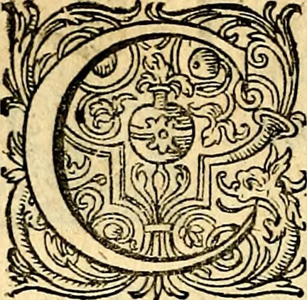 An illustration from Joachimi Camerarii Symbolorvm et emblematvm centvriæ tres. I. Ex herbis & stirpibus. II. Ex animalibus quadrupedibus. III. Ex volatilibus & insectis. Accessit noviter centvria IV. Ex aquatilibus & reptilibus. Cvm figvris æneis, 1605, leaf 61