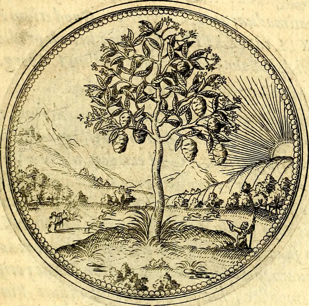 An illustration from Joachimi Camerarii Symbolorvm et emblematvm centvriæ tres. I. Ex herbis & stirpibus. II. Ex animalibus quadrupedibus. III. Ex volatilibus & insectis. Accessit noviter centvria IV. Ex aquatilibus & reptilibus. Cvm figvris æneis, 1605, leaf 64