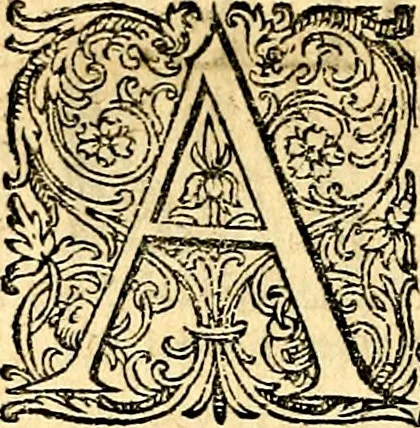 An illustration from Joachimi Camerarii Symbolorvm et emblematvm centvriæ tres. I. Ex herbis & stirpibus. II. Ex animalibus quadrupedibus. III. Ex volatilibus & insectis. Accessit noviter centvria IV. Ex aquatilibus & reptilibus. Cvm figvris æneis, 1605, leaf 65