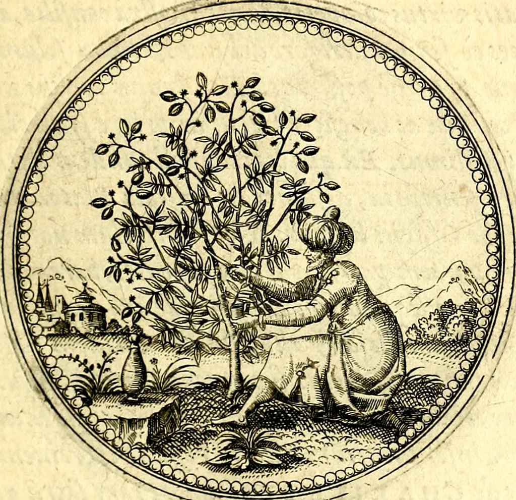 An illustration from Joachimi Camerarii Symbolorvm et emblematvm centvriæ tres. I. Ex herbis & stirpibus. II. Ex animalibus quadrupedibus. III. Ex volatilibus & insectis. Accessit noviter centvria IV. Ex aquatilibus & reptilibus. Cvm figvris æneis, 1605, leaf 78