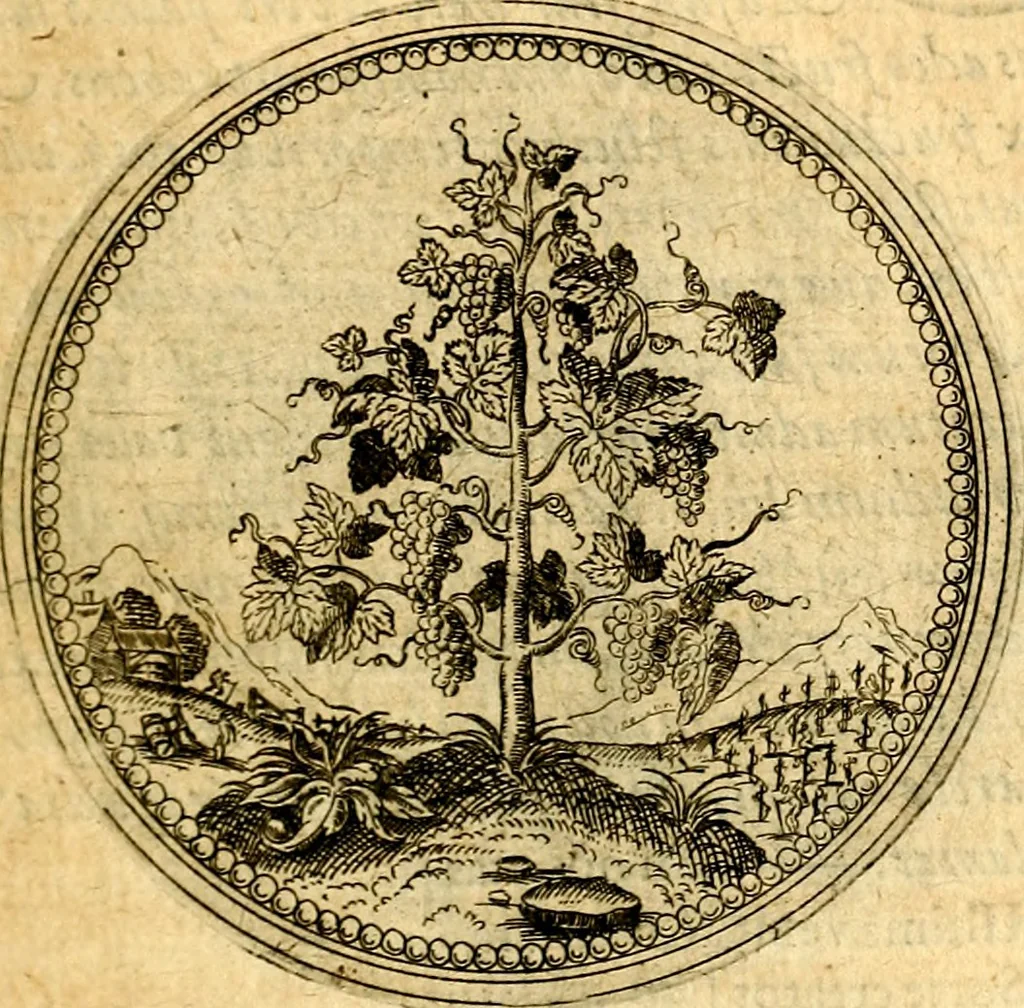 An illustration from Joachimi Camerarii Symbolorvm et emblematvm centvriæ tres. I. Ex herbis & stirpibus. II. Ex animalibus quadrupedibus. III. Ex volatilibus & insectis. Accessit noviter centvria IV. Ex aquatilibus & reptilibus. Cvm figvris æneis, 1605, leaf 84
