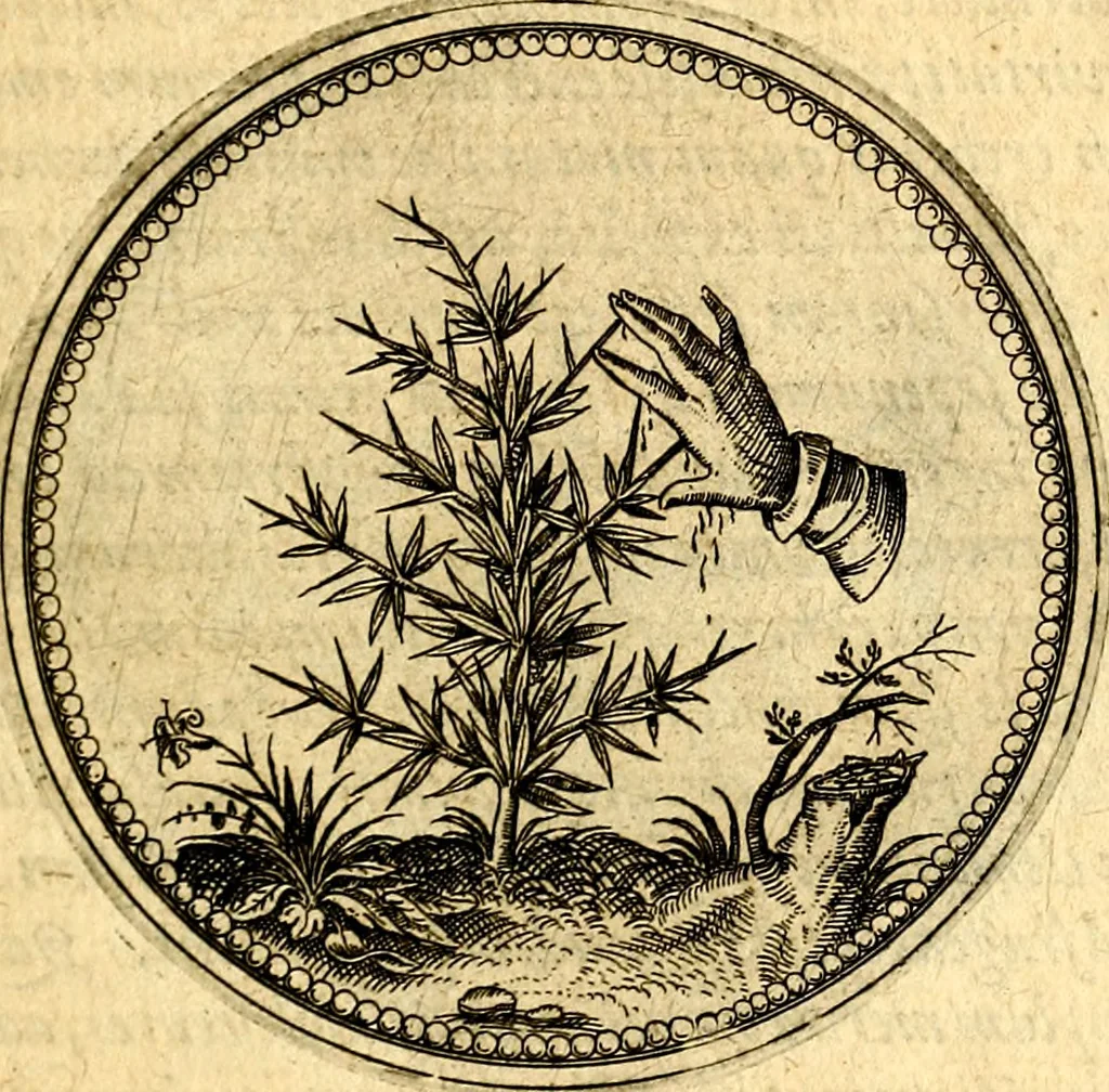 An illustration from Joachimi Camerarii Symbolorvm et emblematvm centvriæ tres. I. Ex herbis & stirpibus. II. Ex animalibus quadrupedibus. III. Ex volatilibus & insectis. Accessit noviter centvria IV. Ex aquatilibus & reptilibus. Cvm figvris æneis, 1605, leaf 88