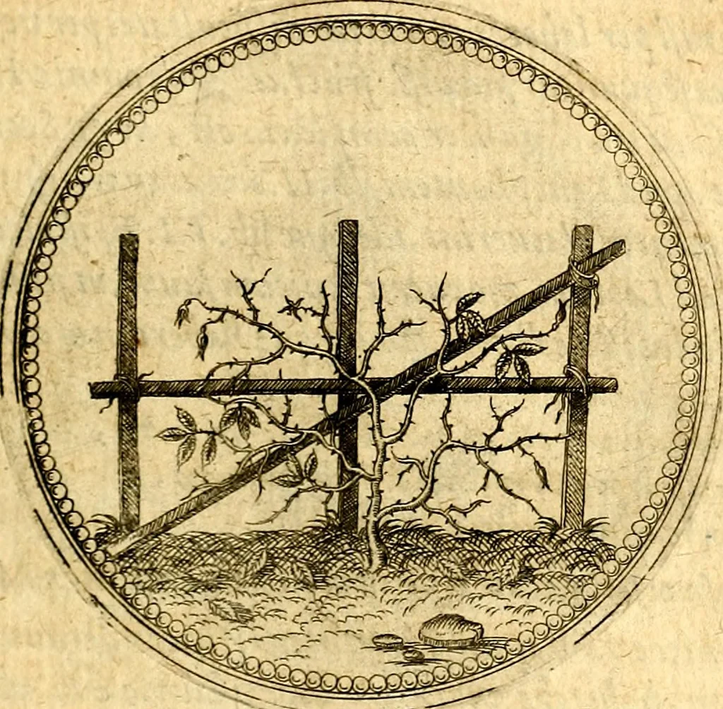 An illustration from Joachimi Camerarii Symbolorvm et emblematvm centvriæ tres. I. Ex herbis & stirpibus. II. Ex animalibus quadrupedibus. III. Ex volatilibus & insectis. Accessit noviter centvria IV. Ex aquatilibus & reptilibus. Cvm figvris æneis, 1605, leaf 90