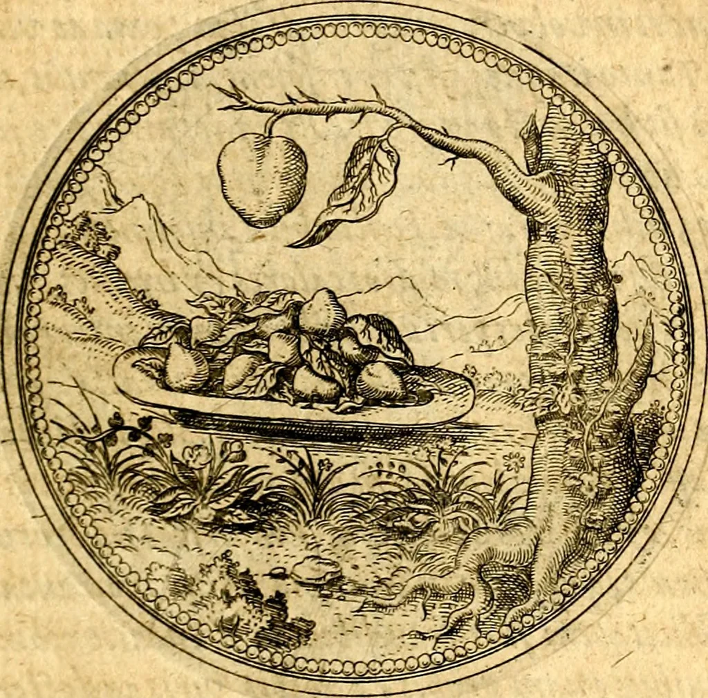 An illustration from Joachimi Camerarii Symbolorvm et emblematvm centvriæ tres. I. Ex herbis & stirpibus. II. Ex animalibus quadrupedibus. III. Ex volatilibus & insectis. Accessit noviter centvria IV. Ex aquatilibus & reptilibus. Cvm figvris æneis, 1605, leaf 94