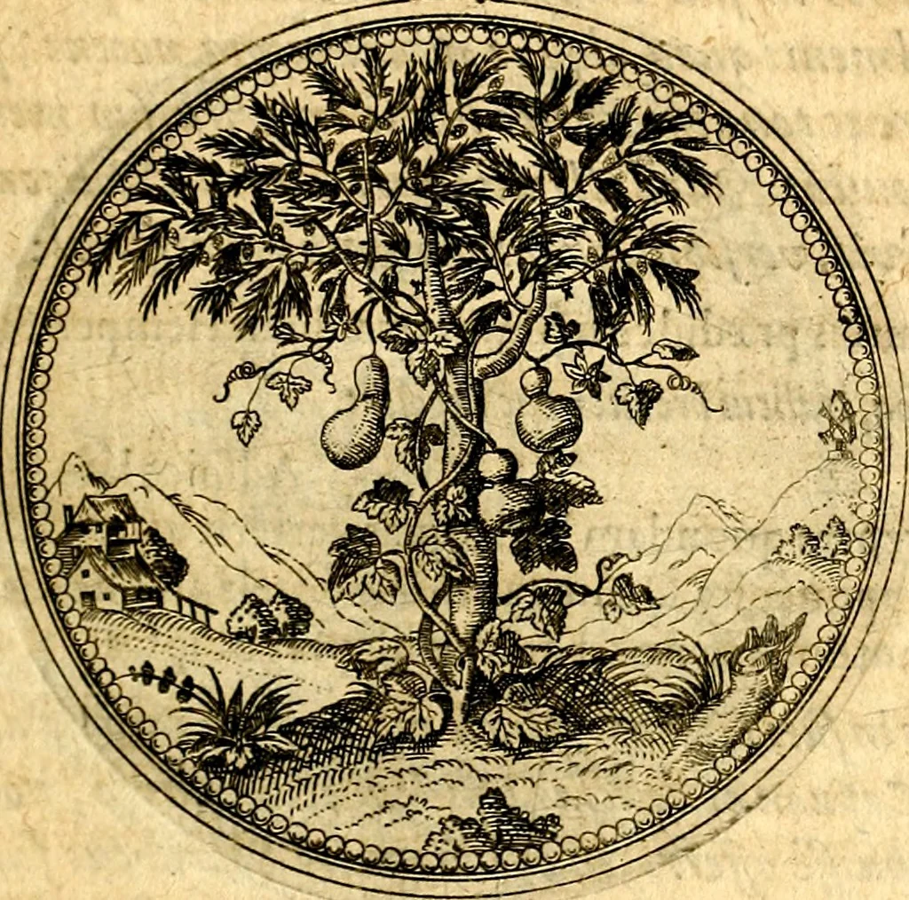 An illustration from Joachimi Camerarii Symbolorvm et emblematvm centvriæ tres. I. Ex herbis & stirpibus. II. Ex animalibus quadrupedibus. III. Ex volatilibus & insectis. Accessit noviter centvria IV. Ex aquatilibus & reptilibus. Cvm figvris æneis, 1605, leaf 96