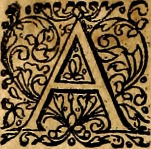 An illustration from Joachimi Camerarii Symbolorvm et emblematvm centvriæ tres. I. Ex herbis & stirpibus. II. Ex animalibus quadrupedibus. III. Ex volatilibus & insectis. Accessit noviter centvria IV. Ex aquatilibus & reptilibus. Cvm figvris æneis, 1605, leaf 101