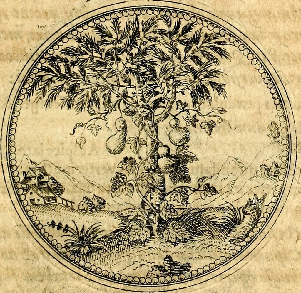 An illustration from Joachimi Camerarii Symbolorvm et emblematvm centvriæ tres. I. Ex herbis & stirpibus. II. Ex animalibus quadrupedibus. III. Ex volatilibus & insectis. Accessit noviter centvria IV. Ex aquatilibus & reptilibus. Cvm figvris æneis, 1605, leaf 102
