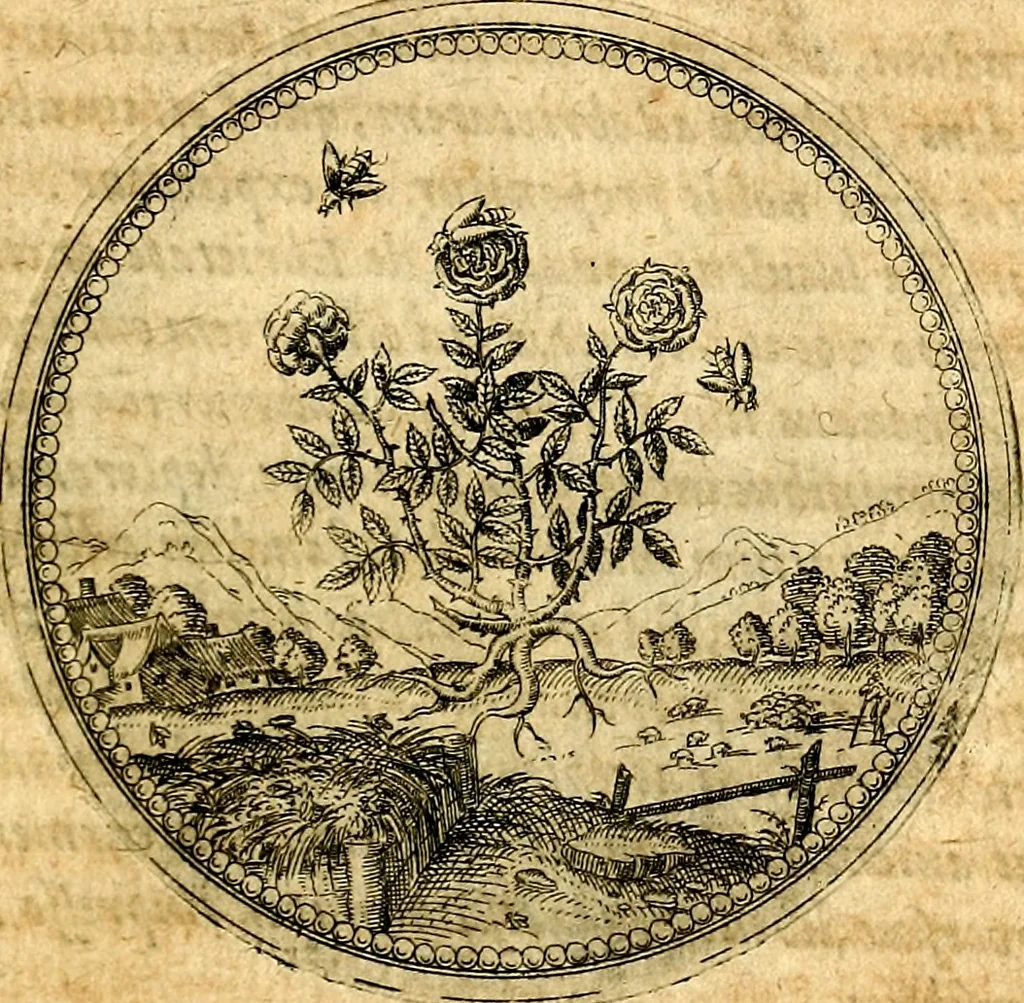 An illustration from Joachimi Camerarii Symbolorvm et emblematvm centvriæ tres. I. Ex herbis & stirpibus. II. Ex animalibus quadrupedibus. III. Ex volatilibus & insectis. Accessit noviter centvria IV. Ex aquatilibus & reptilibus. Cvm figvris æneis, 1605, leaf 104