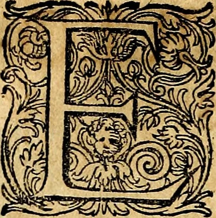 An illustration from Joachimi Camerarii Symbolorvm et emblematvm centvriæ tres. I. Ex herbis & stirpibus. II. Ex animalibus quadrupedibus. III. Ex volatilibus & insectis. Accessit noviter centvria IV. Ex aquatilibus & reptilibus. Cvm figvris æneis, 1605, leaf 109