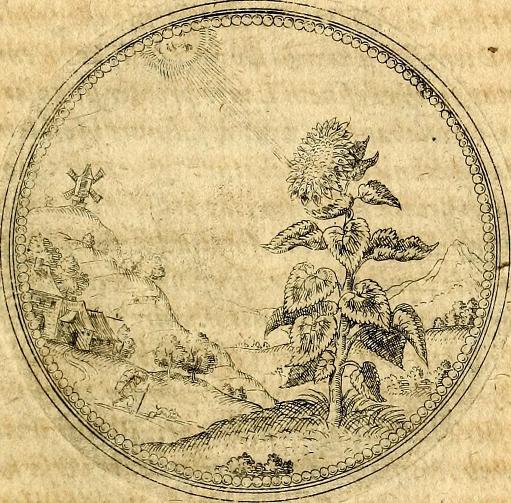 An illustration from Joachimi Camerarii Symbolorvm et emblematvm centvriæ tres. I. Ex herbis & stirpibus. II. Ex animalibus quadrupedibus. III. Ex volatilibus & insectis. Accessit noviter centvria IV. Ex aquatilibus & reptilibus. Cvm figvris æneis, 1605, leaf 110