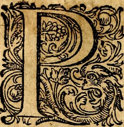 An illustration from Joachimi Camerarii Symbolorvm et emblematvm centvriæ tres. I. Ex herbis & stirpibus. II. Ex animalibus quadrupedibus. III. Ex volatilibus & insectis. Accessit noviter centvria IV. Ex aquatilibus & reptilibus. Cvm figvris æneis, 1605, leaf 117
