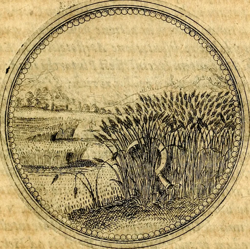 An illustration from Joachimi Camerarii Symbolorvm et emblematvm centvriæ tres. I. Ex herbis & stirpibus. II. Ex animalibus quadrupedibus. III. Ex volatilibus & insectis. Accessit noviter centvria IV. Ex aquatilibus & reptilibus. Cvm figvris æneis, 1605, leaf 124