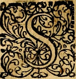 An illustration from Joachimi Camerarii Symbolorvm et emblematvm centvriæ tres. I. Ex herbis & stirpibus. II. Ex animalibus quadrupedibus. III. Ex volatilibus & insectis. Accessit noviter centvria IV. Ex aquatilibus & reptilibus. Cvm figvris æneis, 1605, leaf 125