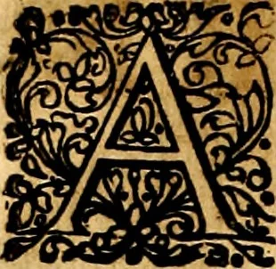 An illustration from Joachimi Camerarii Symbolorvm et emblematvm centvriæ tres. I. Ex herbis & stirpibus. II. Ex animalibus quadrupedibus. III. Ex volatilibus & insectis. Accessit noviter centvria IV. Ex aquatilibus & reptilibus. Cvm figvris æneis, 1605, leaf 127