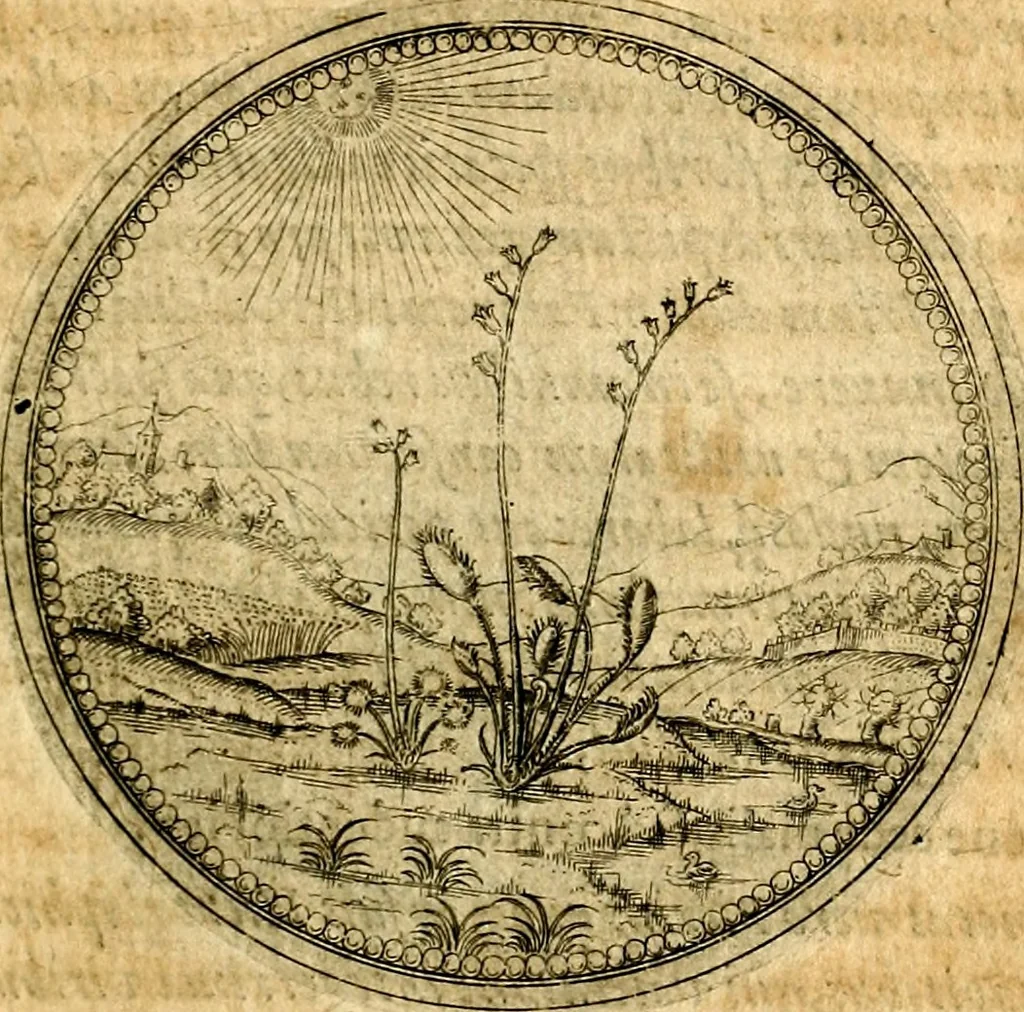 An illustration from Joachimi Camerarii Symbolorvm et emblematvm centvriæ tres. I. Ex herbis & stirpibus. II. Ex animalibus quadrupedibus. III. Ex volatilibus & insectis. Accessit noviter centvria IV. Ex aquatilibus & reptilibus. Cvm figvris æneis, 1605, leaf 132