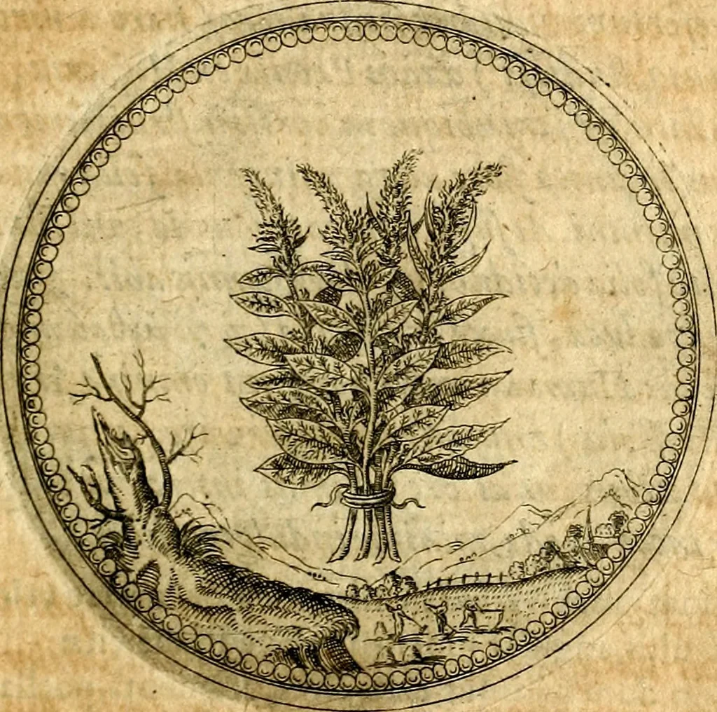 An illustration from Joachimi Camerarii Symbolorvm et emblematvm centvriæ tres. I. Ex herbis & stirpibus. II. Ex animalibus quadrupedibus. III. Ex volatilibus & insectis. Accessit noviter centvria IV. Ex aquatilibus & reptilibus. Cvm figvris æneis, 1605, leaf 134