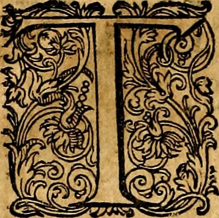 An illustration from Joachimi Camerarii Symbolorvm et emblematvm centvriæ tres. I. Ex herbis & stirpibus. II. Ex animalibus quadrupedibus. III. Ex volatilibus & insectis. Accessit noviter centvria IV. Ex aquatilibus & reptilibus. Cvm figvris æneis, 1605, leaf 135