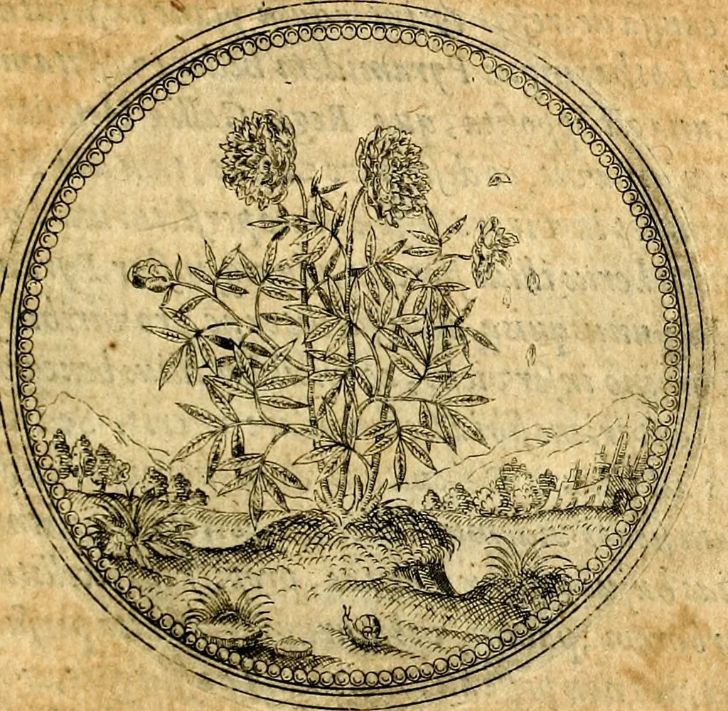 An illustration from Joachimi Camerarii Symbolorvm et emblematvm centvriæ tres. I. Ex herbis & stirpibus. II. Ex animalibus quadrupedibus. III. Ex volatilibus & insectis. Accessit noviter centvria IV. Ex aquatilibus & reptilibus. Cvm figvris æneis, 1605, leaf 136