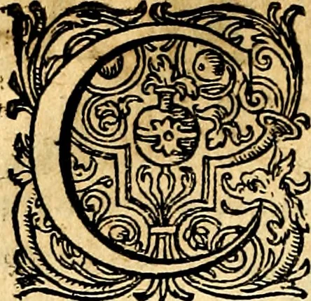 An illustration from Joachimi Camerarii Symbolorvm et emblematvm centvriæ tres. I. Ex herbis & stirpibus. II. Ex animalibus quadrupedibus. III. Ex volatilibus & insectis. Accessit noviter centvria IV. Ex aquatilibus & reptilibus. Cvm figvris æneis, 1605, leaf 143