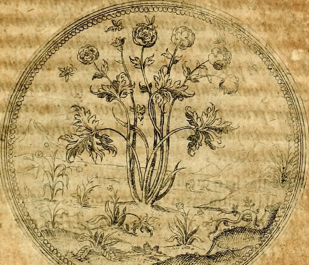 An illustration from Joachimi Camerarii Symbolorvm et emblematvm centvriæ tres. I. Ex herbis & stirpibus. II. Ex animalibus quadrupedibus. III. Ex volatilibus & insectis. Accessit noviter centvria IV. Ex aquatilibus & reptilibus. Cvm figvris æneis, 1605, leaf 146