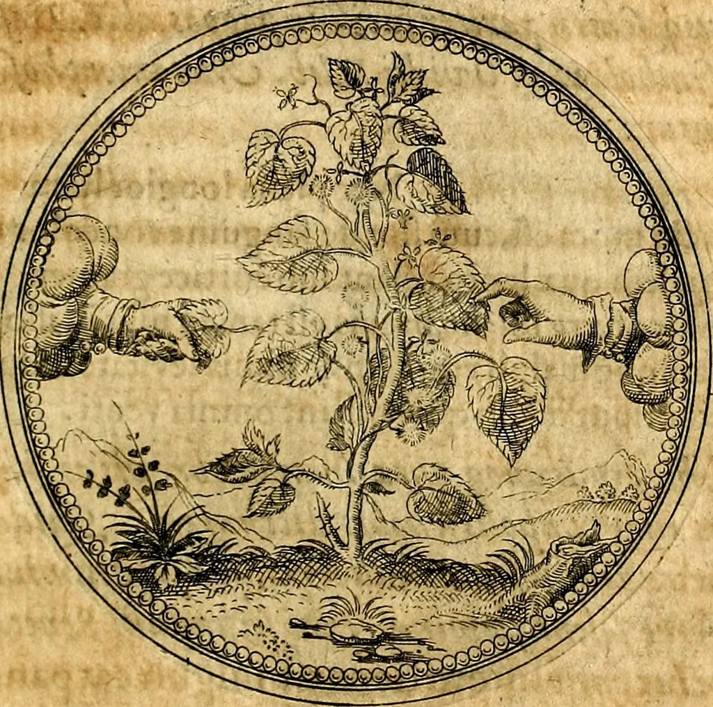 An illustration from Joachimi Camerarii Symbolorvm et emblematvm centvriæ tres. I. Ex herbis & stirpibus. II. Ex animalibus quadrupedibus. III. Ex volatilibus & insectis. Accessit noviter centvria IV. Ex aquatilibus & reptilibus. Cvm figvris æneis, 1605, leaf 148