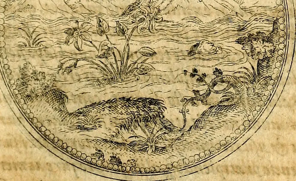 An illustration from Joachimi Camerarii Symbolorvm et emblematvm centvriæ tres. I. Ex herbis & stirpibus. II. Ex animalibus quadrupedibus. III. Ex volatilibus & insectis. Accessit noviter centvria IV. Ex aquatilibus & reptilibus. Cvm figvris æneis, 1605, leaf 152