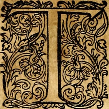 An illustration from Joachimi Camerarii Symbolorvm et emblematvm centvriæ tres. I. Ex herbis & stirpibus. II. Ex animalibus quadrupedibus. III. Ex volatilibus & insectis. Accessit noviter centvria IV. Ex aquatilibus & reptilibus. Cvm figvris æneis, 1605, leaf 155