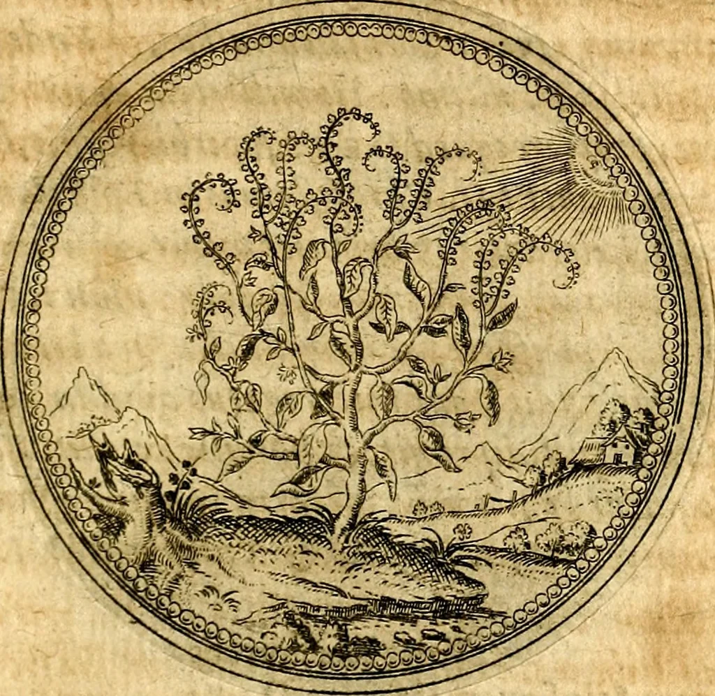 An illustration from Joachimi Camerarii Symbolorvm et emblematvm centvriæ tres. I. Ex herbis & stirpibus. II. Ex animalibus quadrupedibus. III. Ex volatilibus & insectis. Accessit noviter centvria IV. Ex aquatilibus & reptilibus. Cvm figvris æneis, 1605, leaf 156