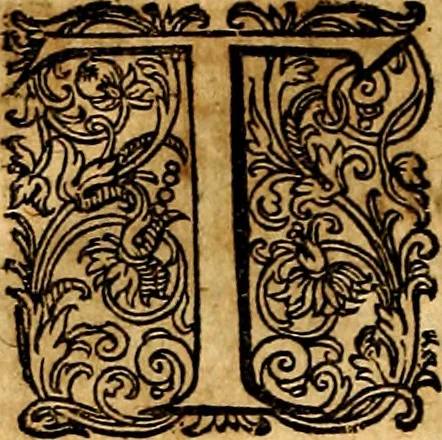An illustration from Joachimi Camerarii Symbolorvm et emblematvm centvriæ tres. I. Ex herbis & stirpibus. II. Ex animalibus quadrupedibus. III. Ex volatilibus & insectis. Accessit noviter centvria IV. Ex aquatilibus & reptilibus. Cvm figvris æneis, 1605, leaf 159