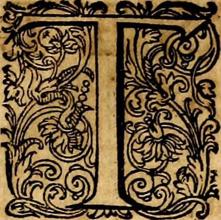 An illustration from Joachimi Camerarii Symbolorvm et emblematvm centvriæ tres. I. Ex herbis & stirpibus. II. Ex animalibus quadrupedibus. III. Ex volatilibus & insectis. Accessit noviter centvria IV. Ex aquatilibus & reptilibus. Cvm figvris æneis, 1605, leaf 161
