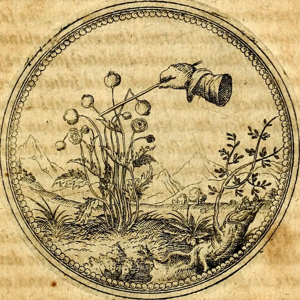 An illustration from Joachimi Camerarii Symbolorvm et emblematvm centvriæ tres. I. Ex herbis & stirpibus. II. Ex animalibus quadrupedibus. III. Ex volatilibus & insectis. Accessit noviter centvria IV. Ex aquatilibus & reptilibus. Cvm figvris æneis, 1605, leaf 164