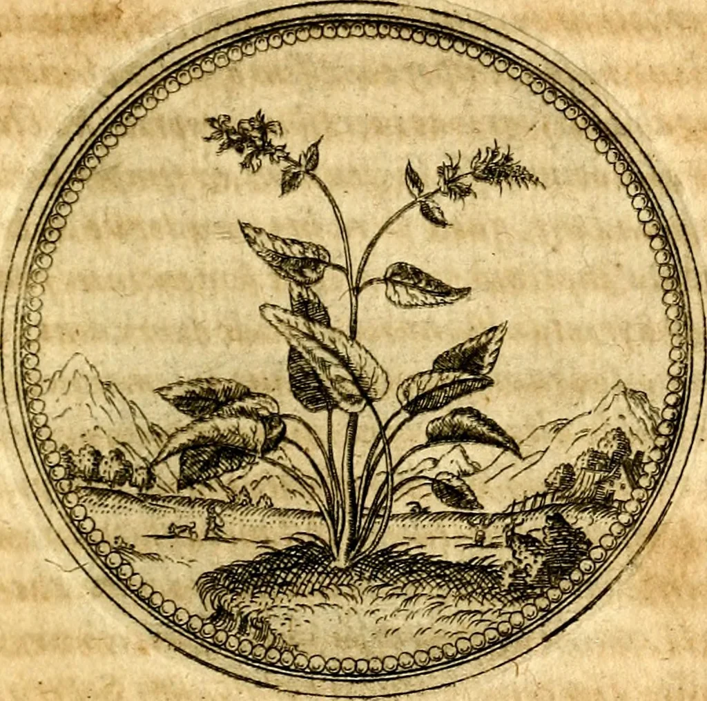 An illustration from Joachimi Camerarii Symbolorvm et emblematvm centvriæ tres. I. Ex herbis & stirpibus. II. Ex animalibus quadrupedibus. III. Ex volatilibus & insectis. Accessit noviter centvria IV. Ex aquatilibus & reptilibus. Cvm figvris æneis, 1605, leaf 166