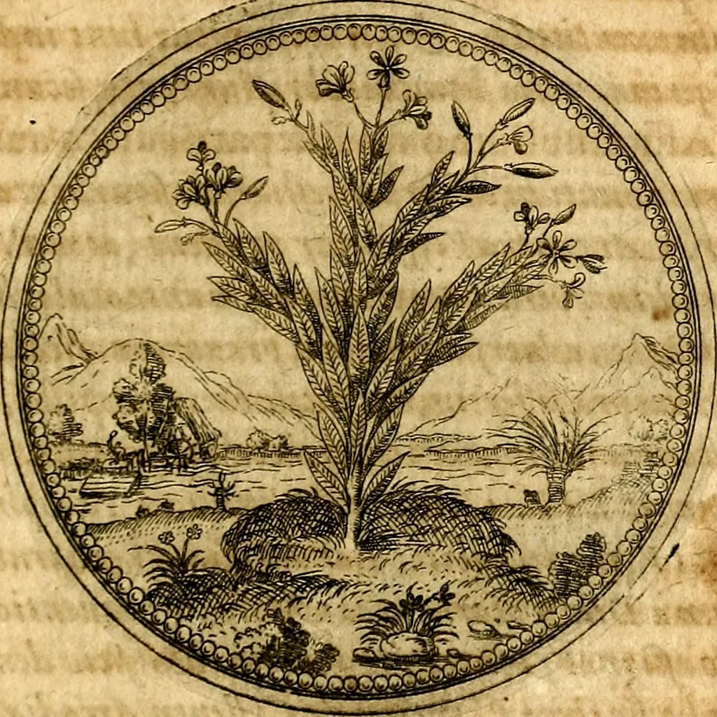 An illustration from Joachimi Camerarii Symbolorvm et emblematvm centvriæ tres. I. Ex herbis & stirpibus. II. Ex animalibus quadrupedibus. III. Ex volatilibus & insectis. Accessit noviter centvria IV. Ex aquatilibus & reptilibus. Cvm figvris æneis, 1605, leaf 170