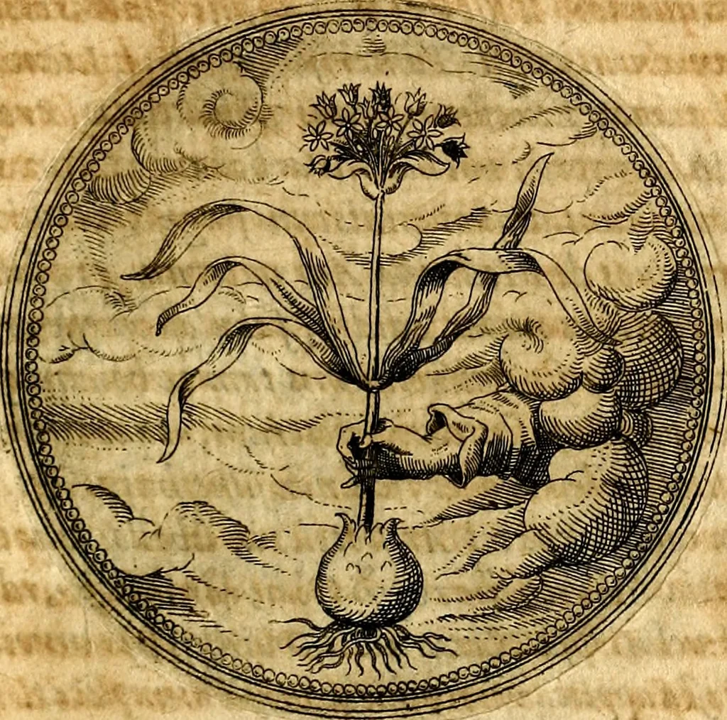 An illustration from Joachimi Camerarii Symbolorvm et emblematvm centvriæ tres. I. Ex herbis & stirpibus. II. Ex animalibus quadrupedibus. III. Ex volatilibus & insectis. Accessit noviter centvria IV. Ex aquatilibus & reptilibus. Cvm figvris æneis, 1605, leaf 172