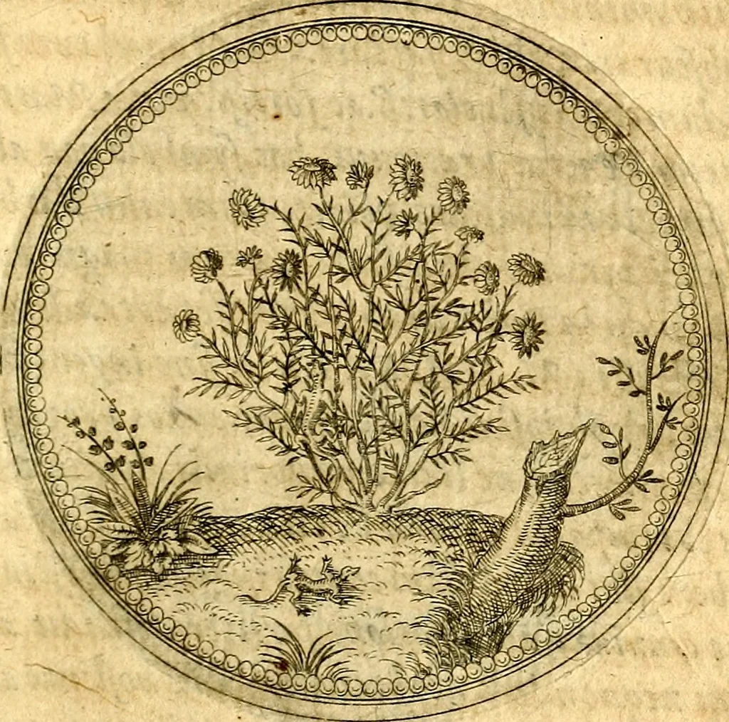 An illustration from Joachimi Camerarii Symbolorvm et emblematvm centvriæ tres. I. Ex herbis & stirpibus. II. Ex animalibus quadrupedibus. III. Ex volatilibus & insectis. Accessit noviter centvria IV. Ex aquatilibus & reptilibus. Cvm figvris æneis, 1605, leaf 182
