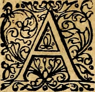 An illustration from Joachimi Camerarii Symbolorvm et emblematvm centvriæ tres. I. Ex herbis & stirpibus. II. Ex animalibus quadrupedibus. III. Ex volatilibus & insectis. Accessit noviter centvria IV. Ex aquatilibus & reptilibus. Cvm figvris æneis, 1605, leaf 183