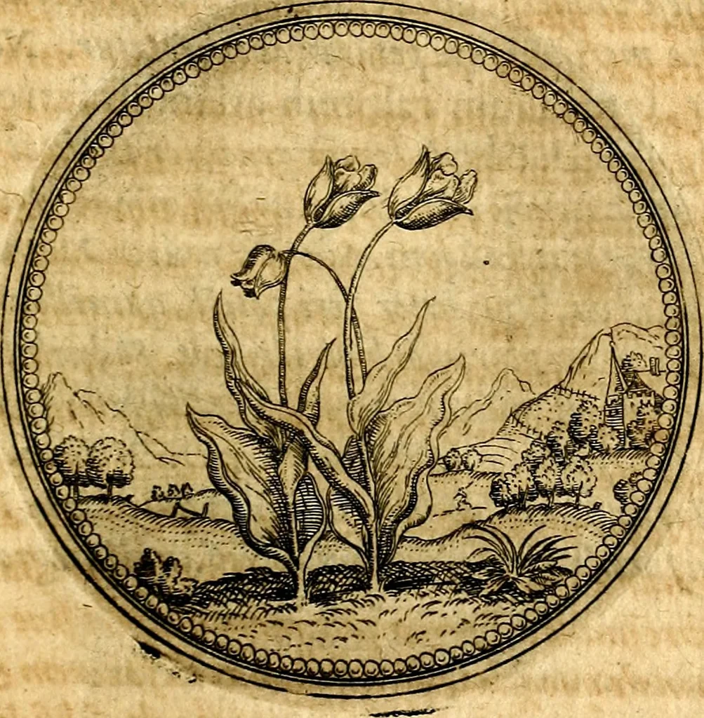 An illustration from Joachimi Camerarii Symbolorvm et emblematvm centvriæ tres. I. Ex herbis & stirpibus. II. Ex animalibus quadrupedibus. III. Ex volatilibus & insectis. Accessit noviter centvria IV. Ex aquatilibus & reptilibus. Cvm figvris æneis, 1605, leaf 186