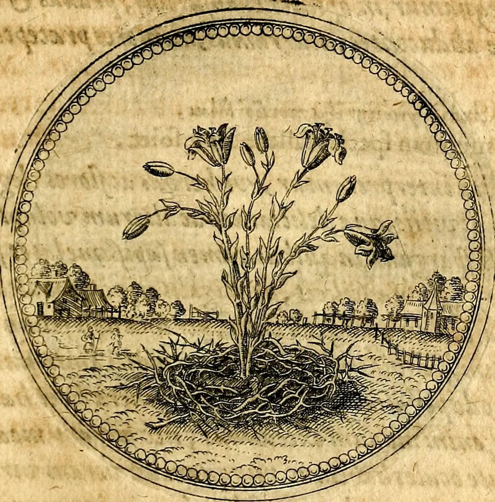 An illustration from Joachimi Camerarii Symbolorvm et emblematvm centvriæ tres. I. Ex herbis & stirpibus. II. Ex animalibus quadrupedibus. III. Ex volatilibus & insectis. Accessit noviter centvria IV. Ex aquatilibus & reptilibus. Cvm figvris æneis, 1605, leaf 188