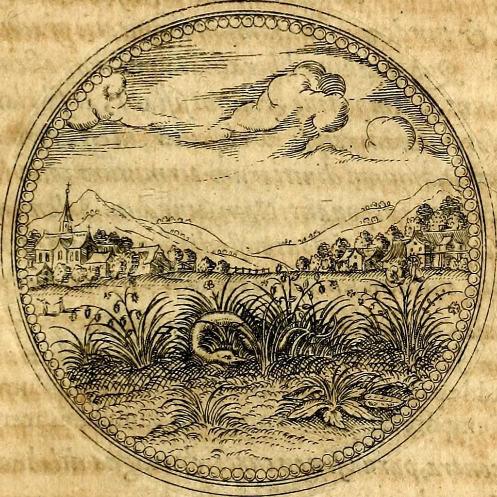 An illustration from Joachimi Camerarii Symbolorvm et emblematvm centvriæ tres. I. Ex herbis & stirpibus. II. Ex animalibus quadrupedibus. III. Ex volatilibus & insectis. Accessit noviter centvria IV. Ex aquatilibus & reptilibus. Cvm figvris æneis, 1605, leaf 190